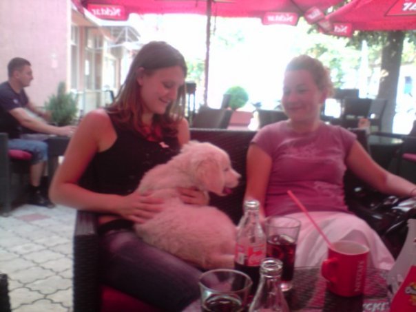 6640_98777547630_644462630_2056027_5889059_n.jpg, 42 KB