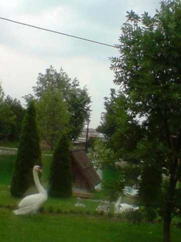 6640_98779277630_644462630_2056054_4724597_n.jpg, 48 KB